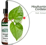 Houttuynia 30ml - NutraMedix